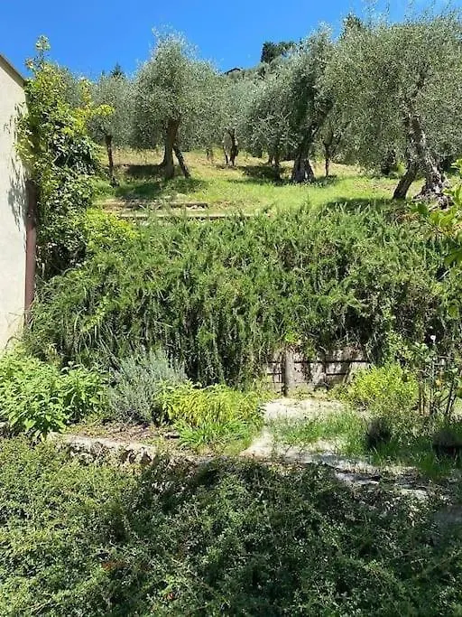 Villa Villino Mami Con Piscina E Vista Mare Panoramica Vila Mommio Itália